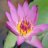 fuliye_47